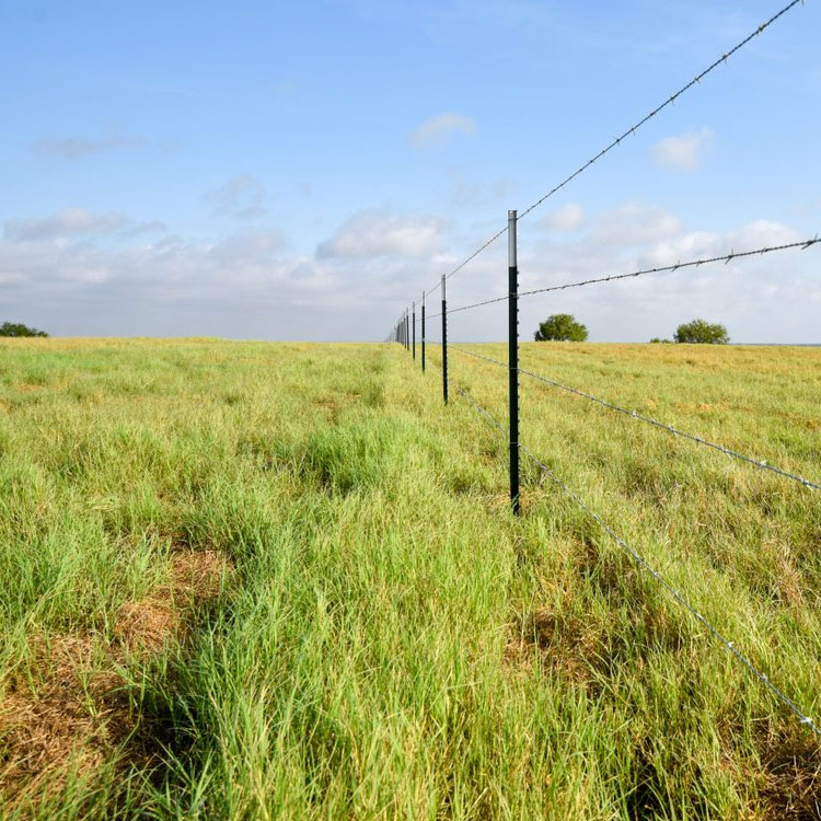 Fence